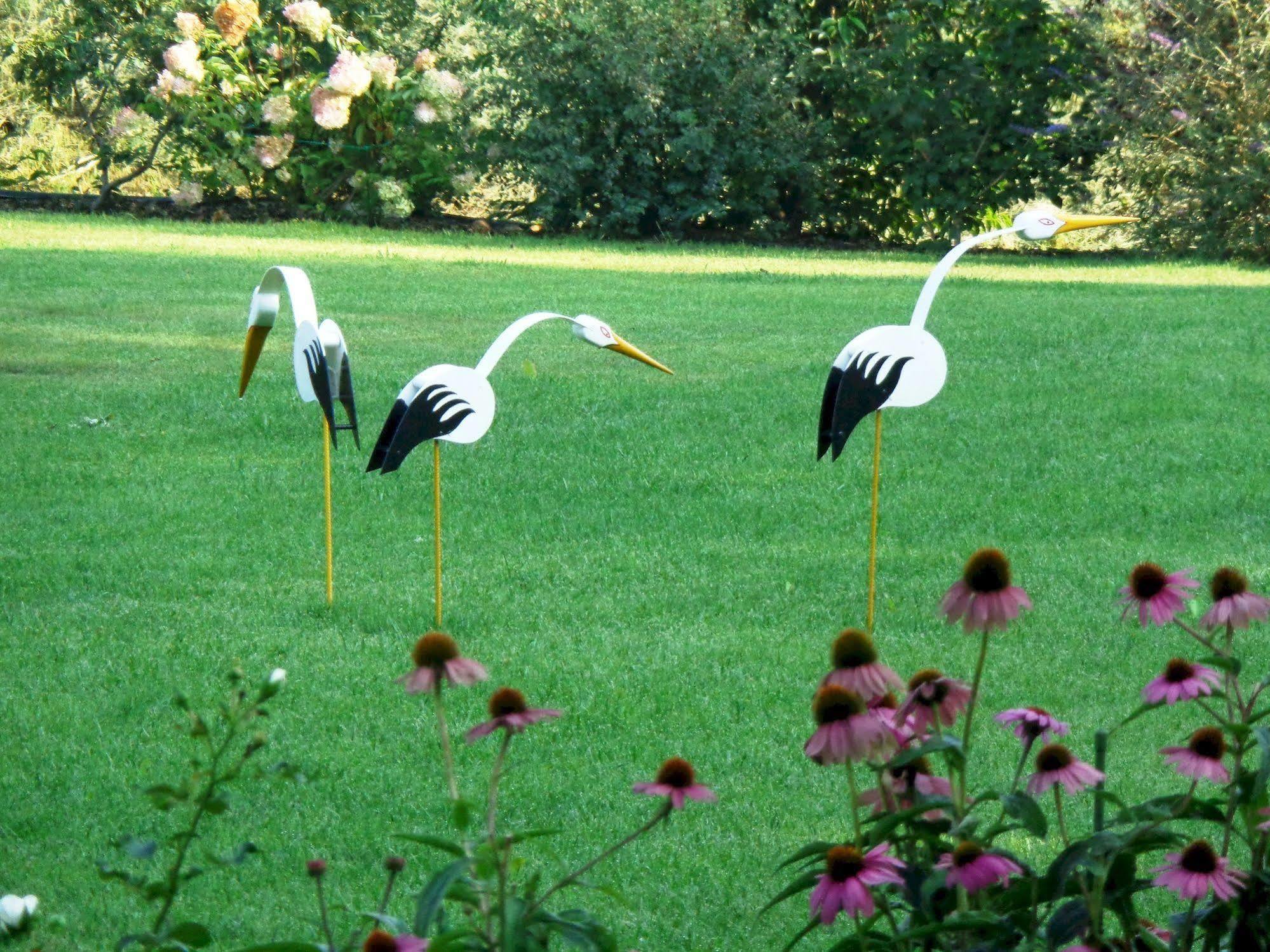 Anima Mundi Bed & Breakfast Curtatone Dış mekan fotoğraf